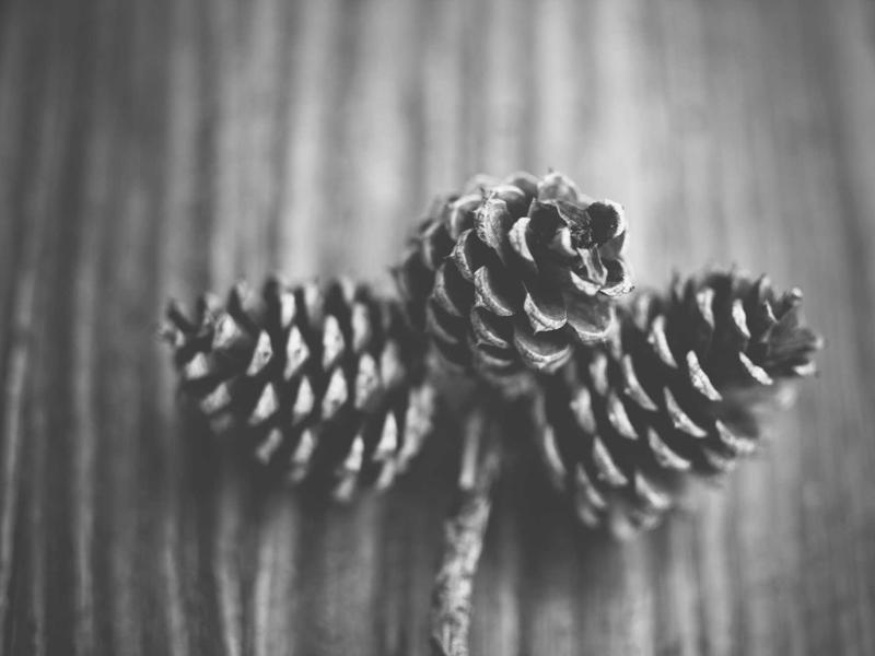 自闭症诊断结果会随着孩子的成长而改变吗?