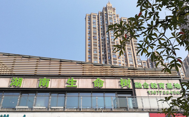 湖南生命树自闭症儿童关爱中心 湖南生命树自闭症儿童关爱中心