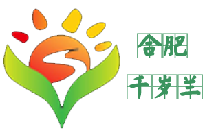 合肥千岁兰