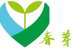 合肥春芽