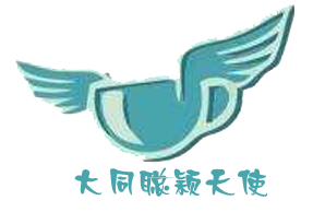 大同聪颖天使