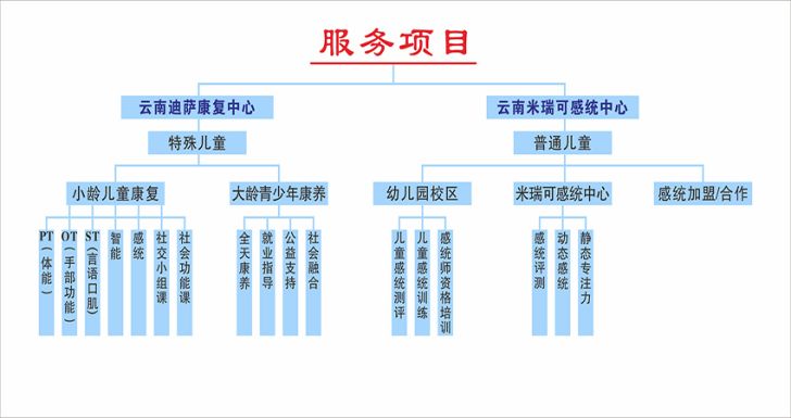 云南迪萨康复中心 云南迪萨康复中心