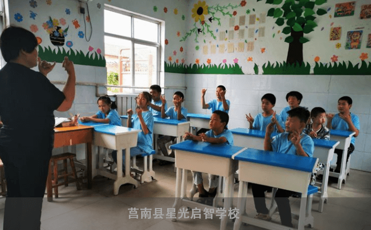 莒南县星光启智学校 莒南县星光启智学校