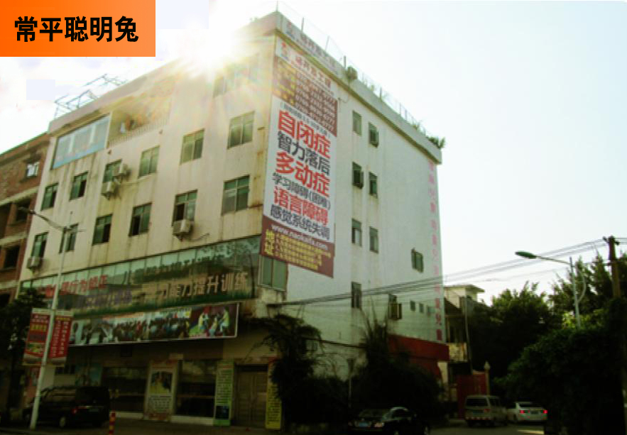 聪明兔东莞常平校区 聪明兔东莞常平校区