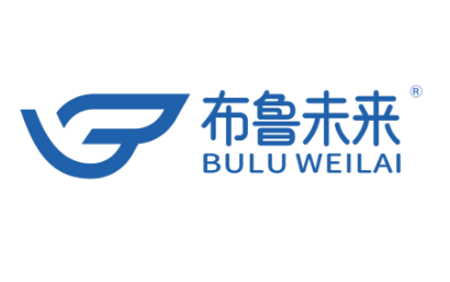 布鲁未来