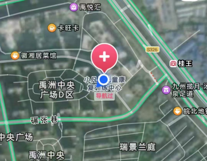 肥东小凡星儿童发展中心位置信息