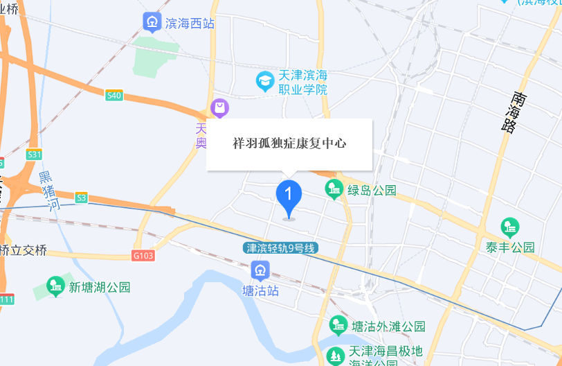 天津市滨海新区祥羽孤独症康复中心 天津市滨海新区祥羽孤独症康复中心
